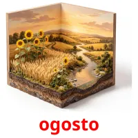 ogosto Bildkarten für Kinder