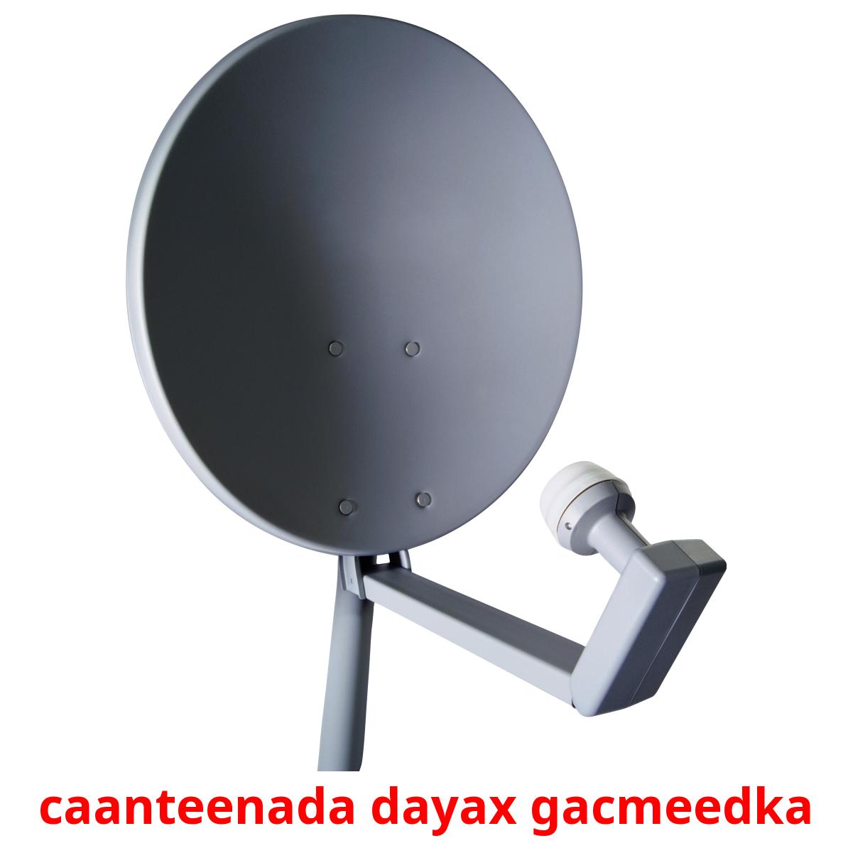 caanteenada dayax gacmeedka cartões com imagens