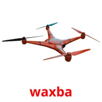 waxba Bildkarten für Kinder