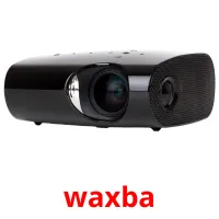 waxba Bildkarten für Kinder