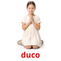duco ansichtkaarten