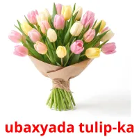 ubaxyada tulip-ka ansichtkaarten