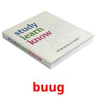 buug picture flashcards
