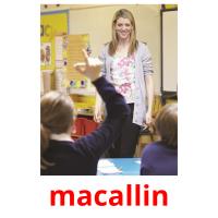macallin picture flashcards