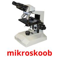 mikroskoob cartões com imagens