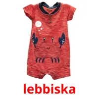 lebbiska flashcards illustrate