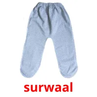 surwaal flashcards illustrate