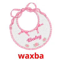 waxba flashcards illustrate