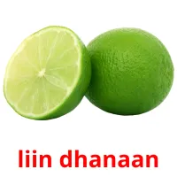 liin dhanaan kuvakortit
