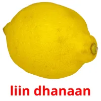 liin dhanaan kuvakortit