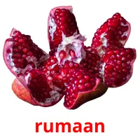 rumaan kuvakortit