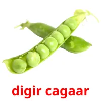 digir cagaar bildekort