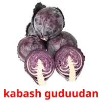 kabash guduudan bildekort