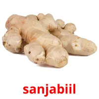 sanjabiil bildekort