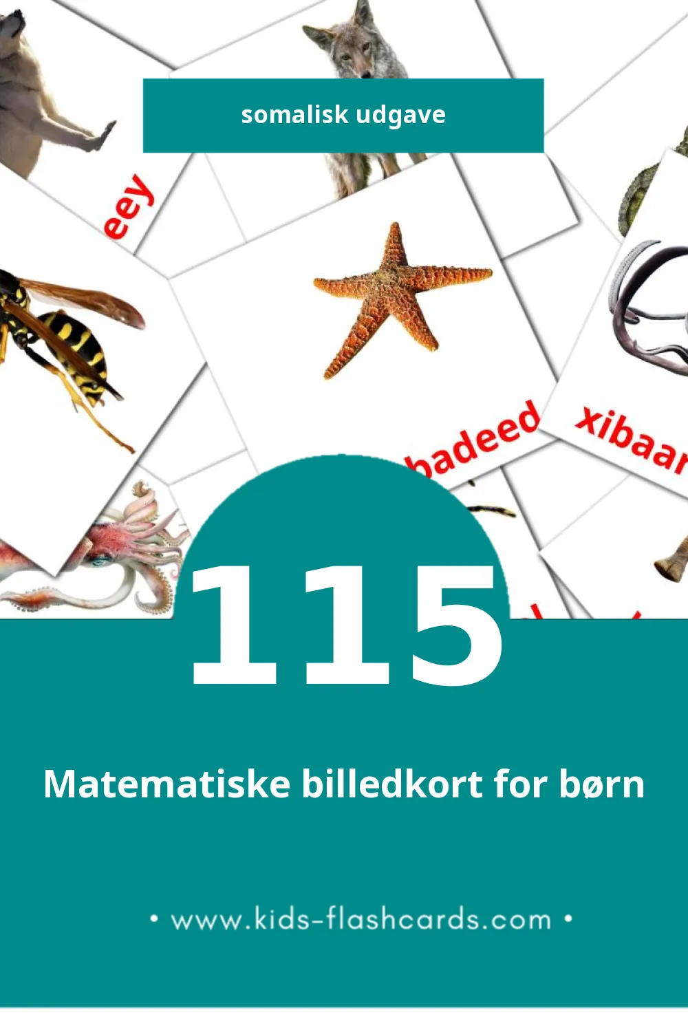 Visuelle billedkort for børn om xayawaanada biriga til småbørn (115 kort på Somalisk)