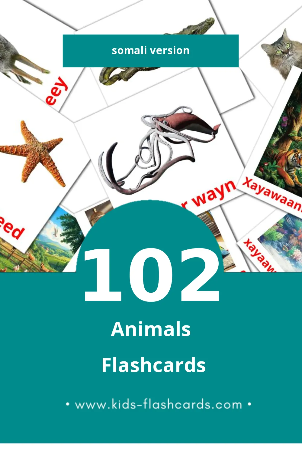 Visual xayawaanada biriga Flashcards for Toddlers (102 cards in Somali)