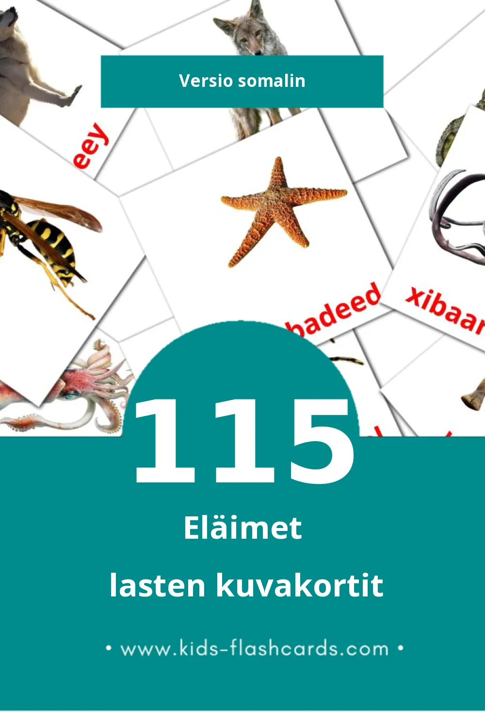 xayawaanada biriga lasten kuvakortit pikkulapsille (115 korttia Somalinksi)
