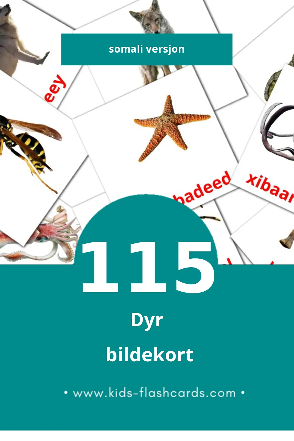 Visuelle xayawaanada biriga bildekort for småbarn (115 kort på Somali)