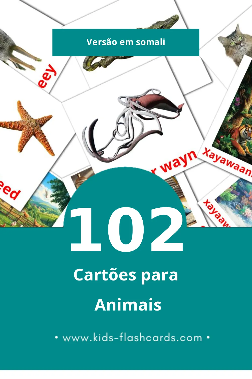Flashcards de xayawaanada biriga Visuais para Toddlers (126 cartões em Somali)