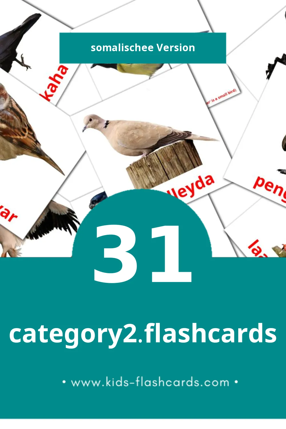 Visual Shimbiraha Bildkarten für Kleinkinder (31 Karten in Somalische)