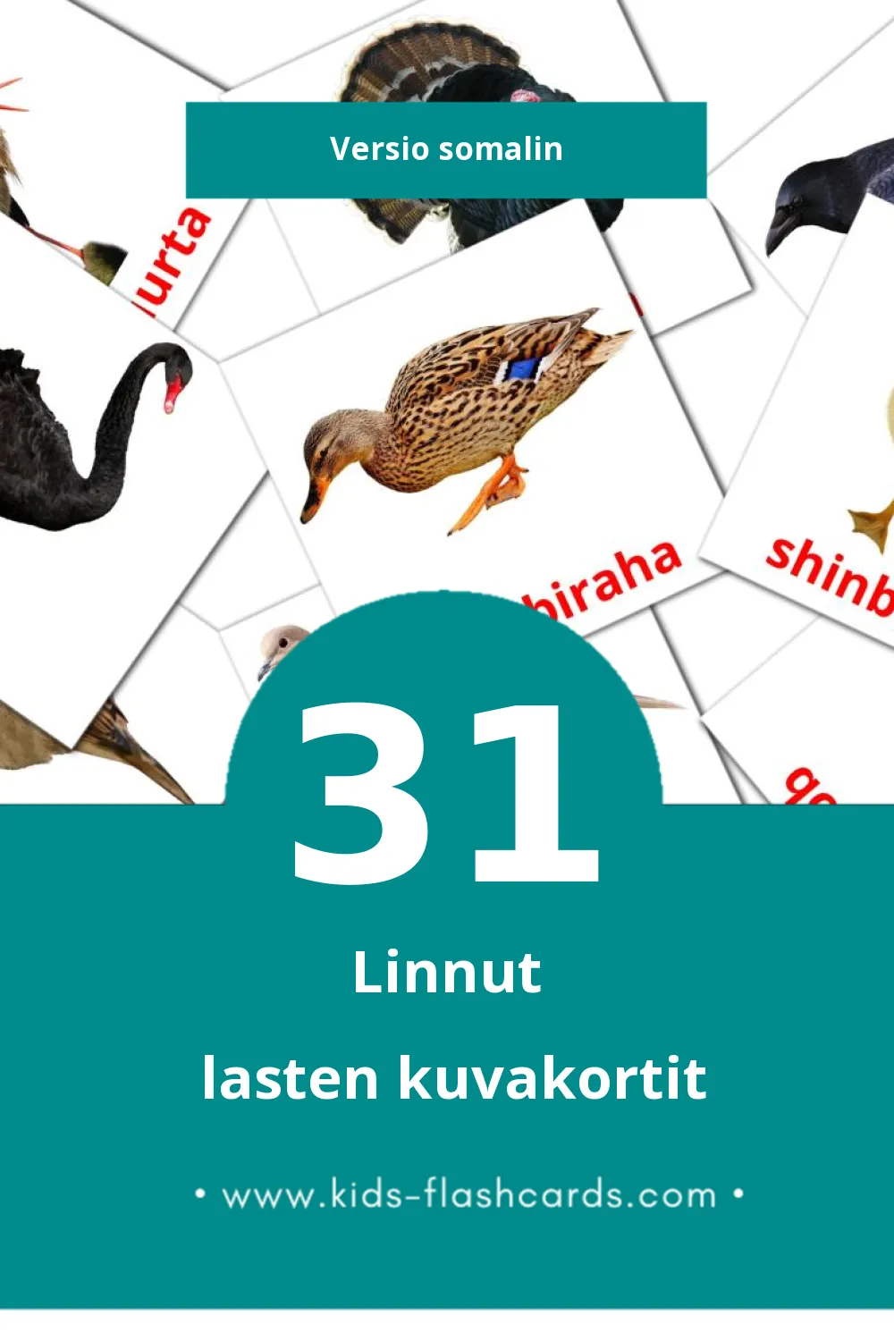Shimbiraha lasten kuvakortit pikkulapsille (31 korttia Somalinksi)