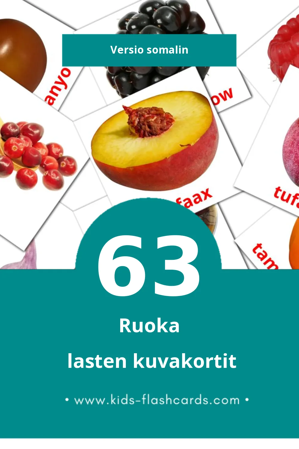 Visual Adamdar Flashcards for Toddlers (90 cards in Kazakhksi(latina))