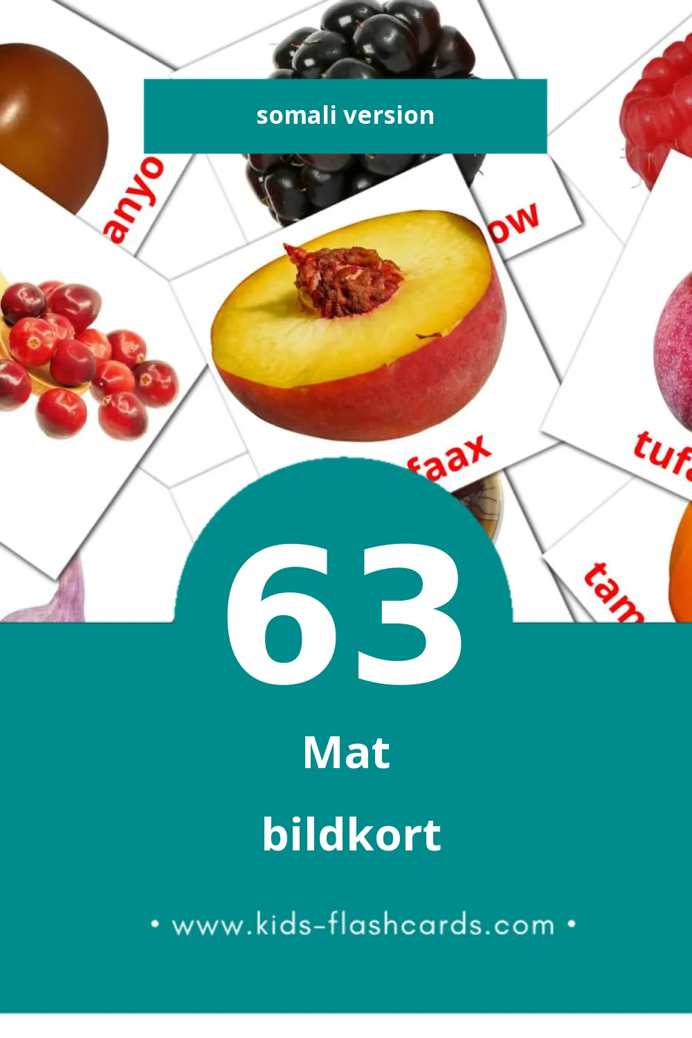Visuella Cunto för småbarn (63 bildkort för barn på Somali)