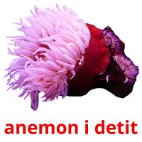 anemon i detit Bildkarteikarten