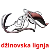 džinovska lignja ansichtkaarten