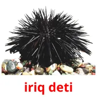 iriq deti ansichtkaarten