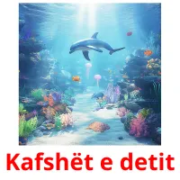 Kafshët e detit ansichtkaarten