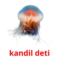 kandil deti ansichtkaarten