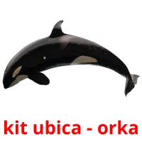 kit ubica - orka ansichtkaarten