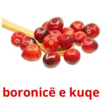 boronicë e kuqe Bildkarteikarten