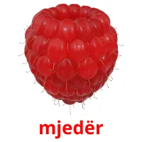 mjedër Bildkarteikarten