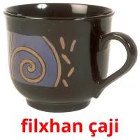 filxhan çaji cartes flash