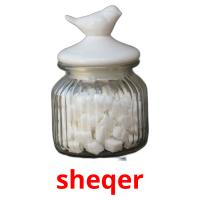 sheqer picture flashcards