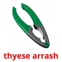 thyese arrash Tarjetas didacticas