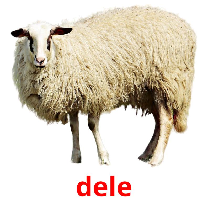 dele picture flashcards