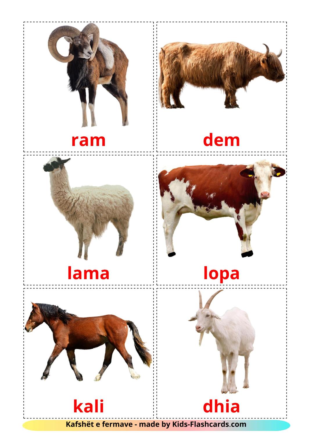 Farm animals - 15 Free Printable albanian Flashcards 