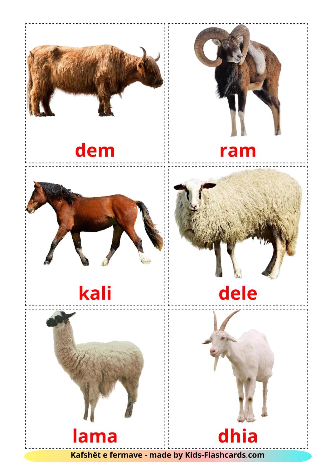 Les Animaux de la Ferme - 16 Flashcards albanais imprimables gratuitement