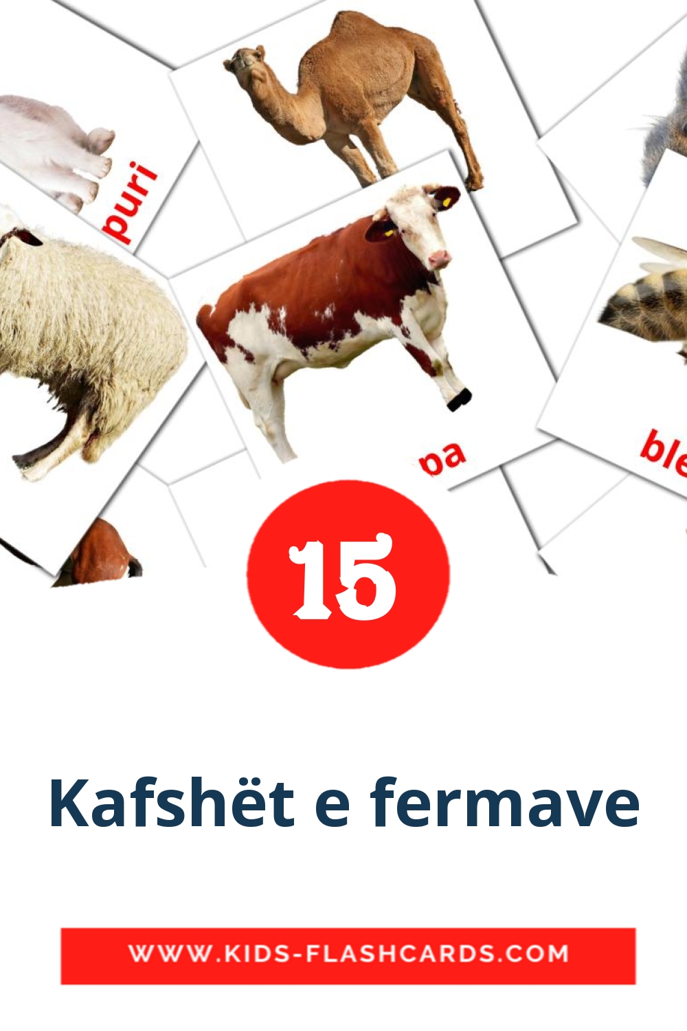 15 cartes illustrées de Kafshët e fermave pour la maternelle en albanais