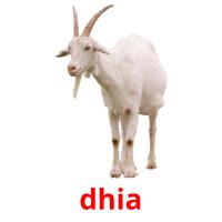 dhia card for translate