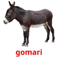 gomari cartes flash