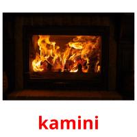 kamini picture flashcards