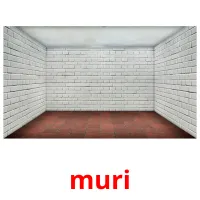 muri picture flashcards