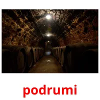 podrumi picture flashcards