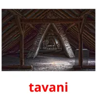 tavani picture flashcards