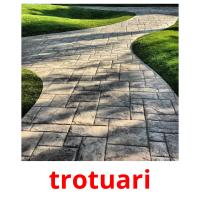 trotuari card for translate
