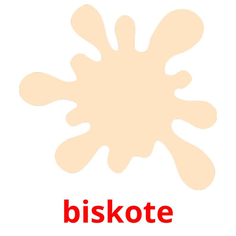 biskote picture flashcards